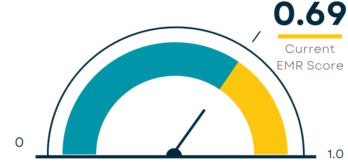 EMR Rating