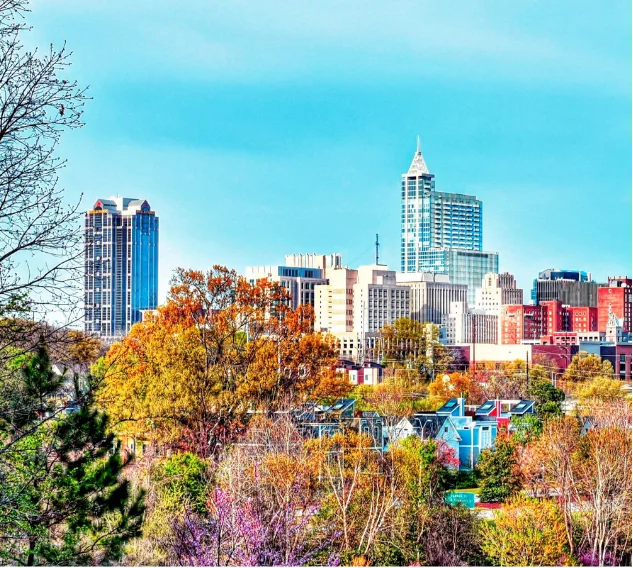 Raleigh, NC skyline